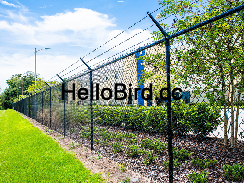 chain link fence