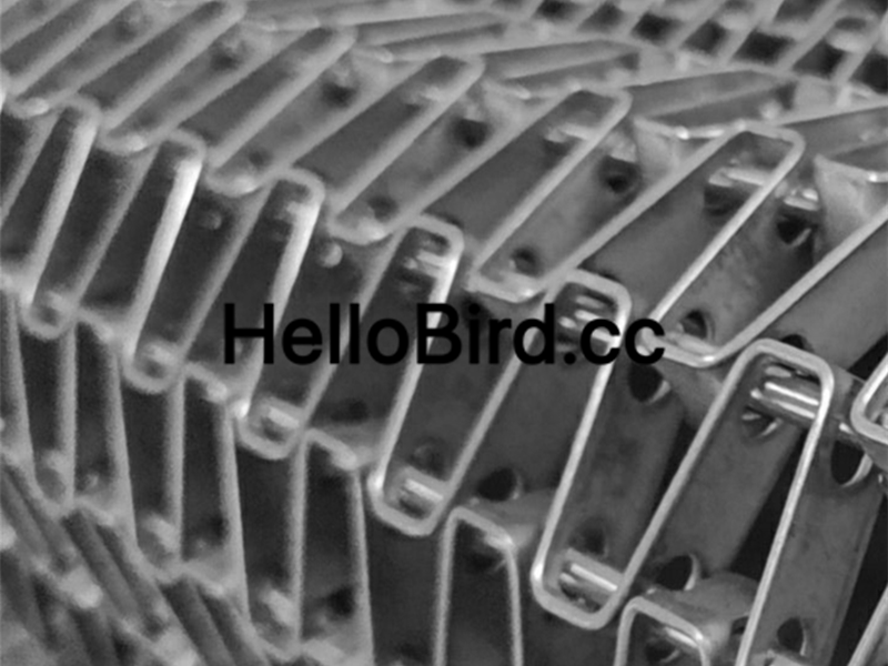 flat wire mesh belt