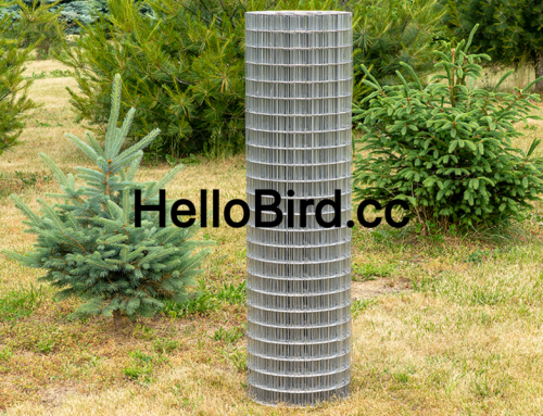 May I Ask If You Can Produce Welded Wire Mesh